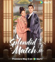 A Splendid Match (20..